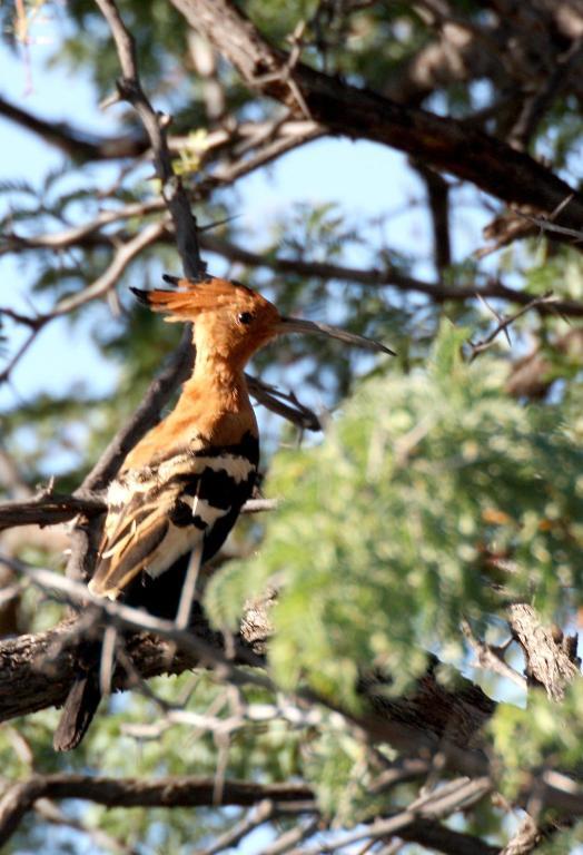 Ondekaremba Villa Dış mekan fotoğraf